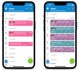 Family view on mobile app and nanny view on mobile app